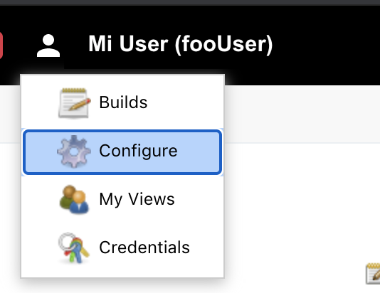 Jenkins user config /posts/2020-06-03-how-to-execute-jenkins-jobs-programatically/jenkinsConfig1.png